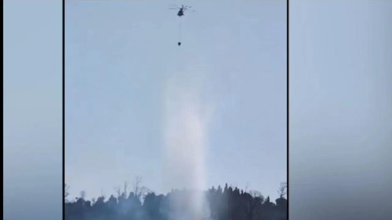 bambi-bucket operation