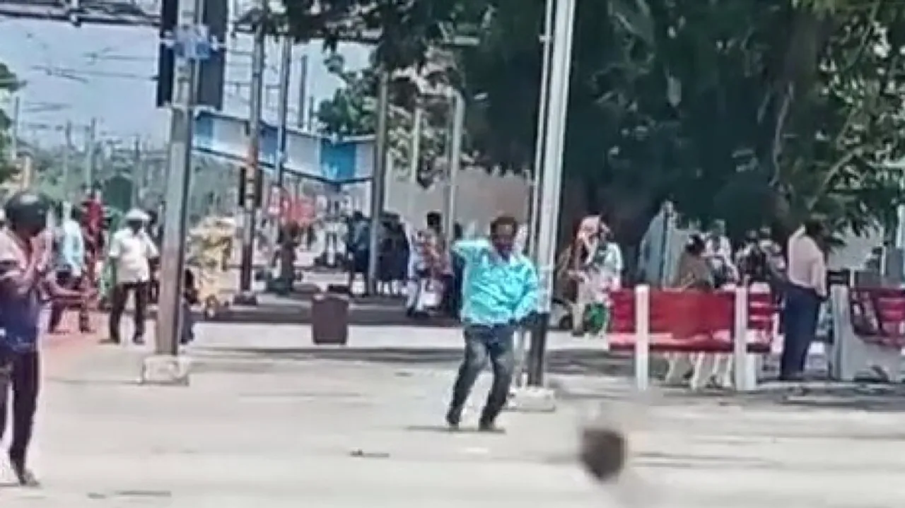  Bees attack passengers