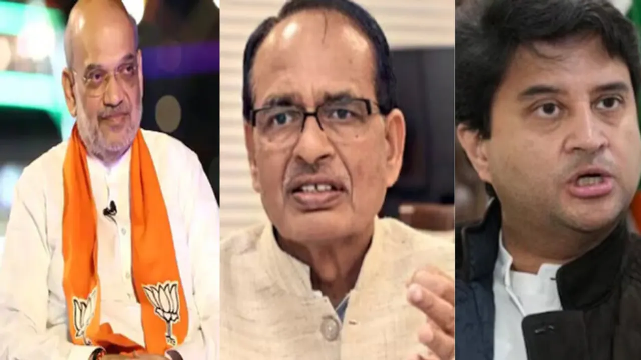 Heavy Weight Candidates