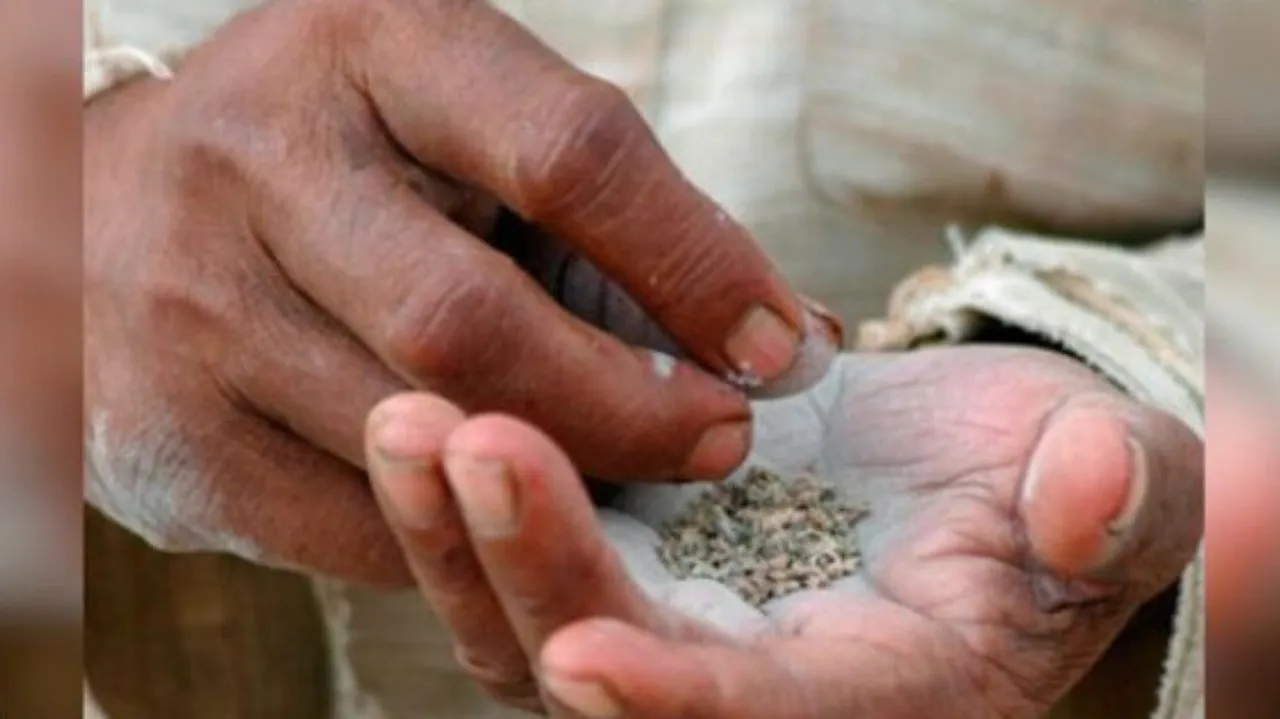 gutka-and-pan-masala