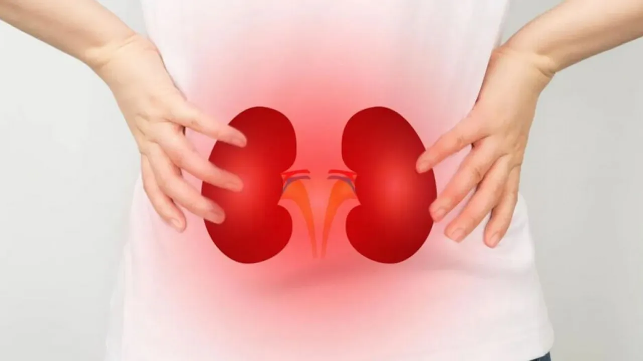 Kidney Disease  