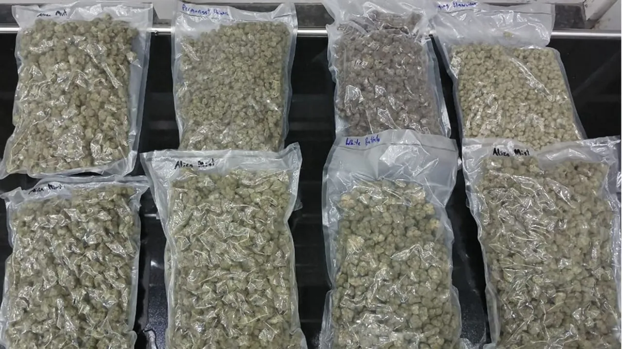 Ganja Seized