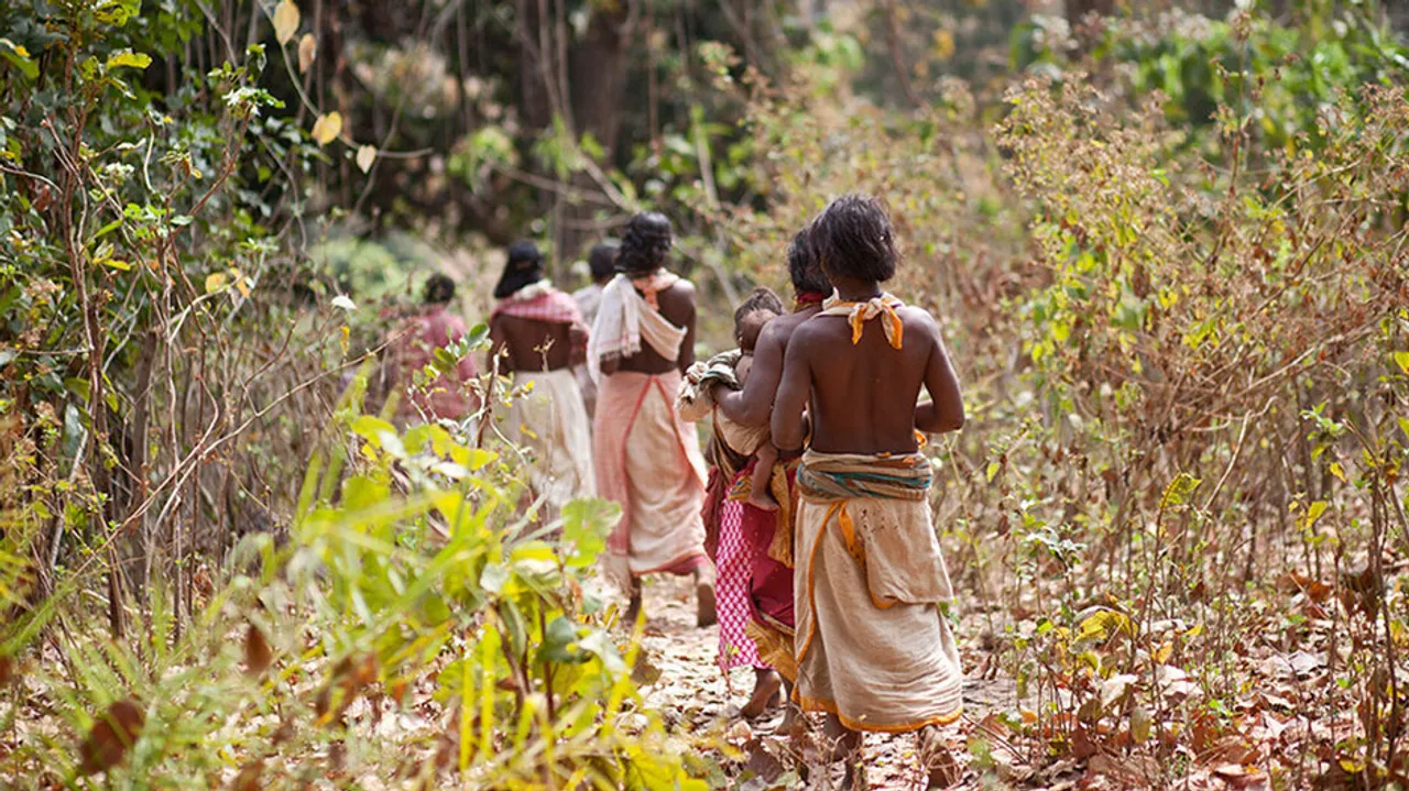 Dongria Kondh odisha