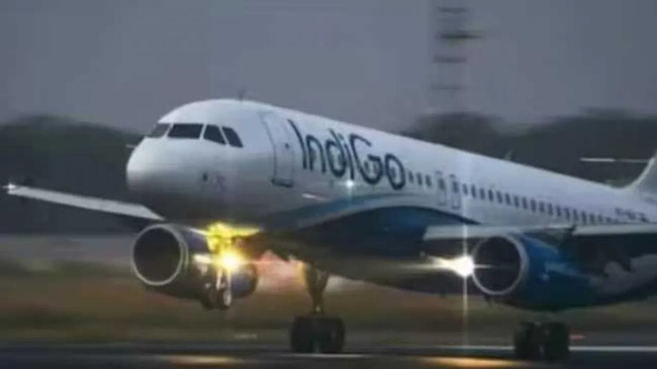 Indigo