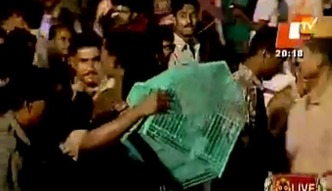 ଜଗନ୍ନାଥଙ୍କ ଦାରୁ ଭୂପତିତ, ଦୁଇ ପେଚା ସୁରକ୍ଷିତ