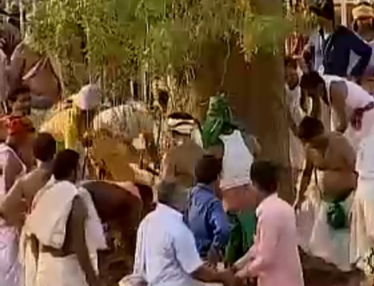 ଜଗନ୍ନାଥଙ୍କ ଦାରୁ ଛେଦନ ଆରମ୍ଭ