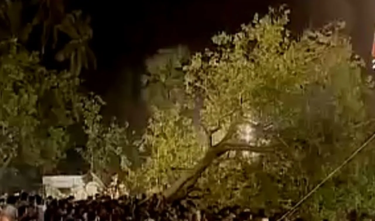 ଶ୍ରୀ ଜଗନ୍ନାଥ ଦାରୁଙ୍କ ଚଉପଟ କାର୍ଯ୍ୟ ଆରମ୍ଭ