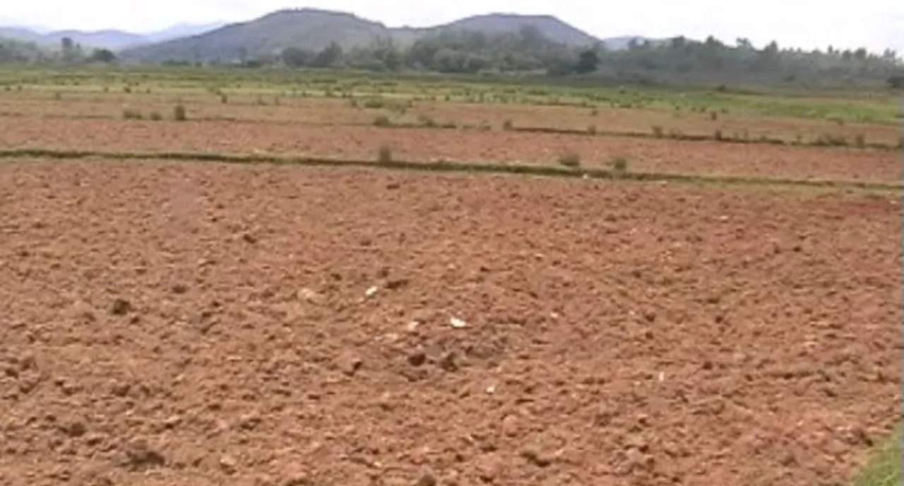 କୋରାପୁଟ: ସେମିଳିଗୁଡ଼ା ବ୍ଲକରେ ବର୍ଷା ନାହିଁ, ପଡ଼ିଆ ପଡ଼ିଛି ୭ ହଜାର ହେକ୍ଟର ଜମି  