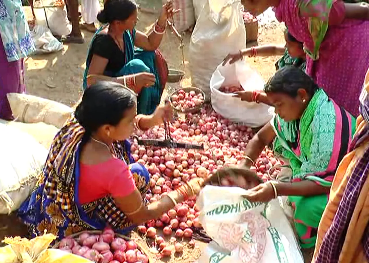 ଦେବଗଡ: ସଂରକ୍ଷଣ ବ୍ୟବସ୍ଥା ନାହିଁ, କମ୍ ମୂଲ୍ୟରେ ପିଆଜ ବିକ୍ରି କରୁଛନ୍ତି ଚାଷୀ