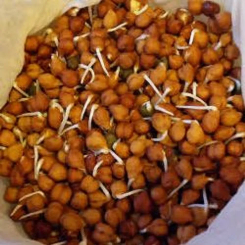 କଳାଚଣା ସ୍ୱାସ୍ଥ୍ୟ ପ୍ରତି ହିତକର