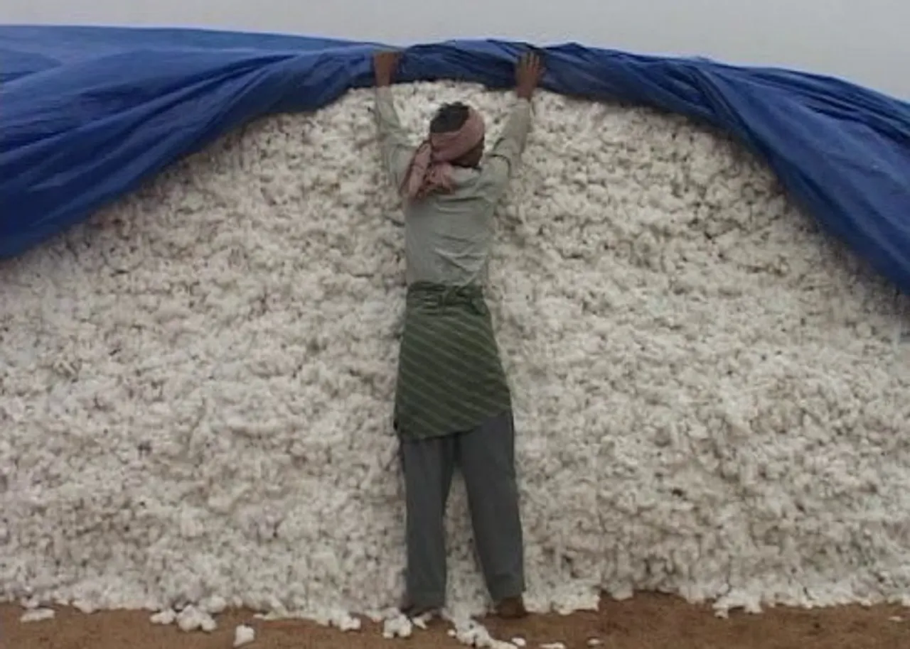 ଖୋଲୁନି ମଣ୍ଡି: ସୋନପୁର ଓ ବଲାଙ୍ଗିରରେ ଚିନ୍ତାରେ କପା ଚାଷୀ