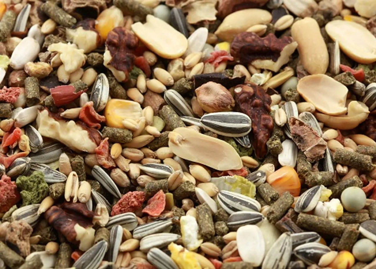 ଡ୍ରାଏ ଫୁଡ୍ ସ୍ୱାସ୍ଥ୍ୟ ପ୍ରତି ହିତକର