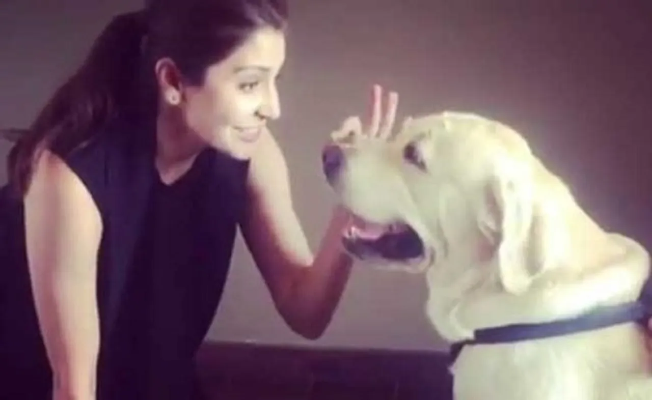 ସୋସିଆଲ ମିଡିଆରେ ଅନୁଷ୍କା ଦେଲେ ଦୀପାବଳୀ ଶୁଭକାମନା