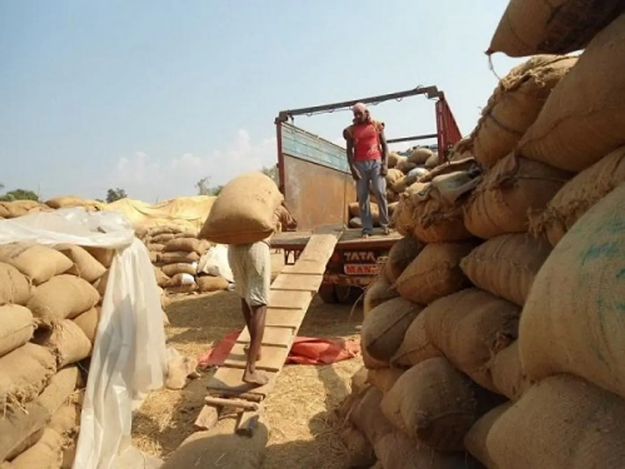 ଧାର୍ଯ୍ୟ ମୂଲ୍ୟଠାରୁ କମ୍‌ରେ ଧାନ କିଣିଲେ ହେବ କାର୍ଯ୍ୟାନୁଷ୍ଠାନ