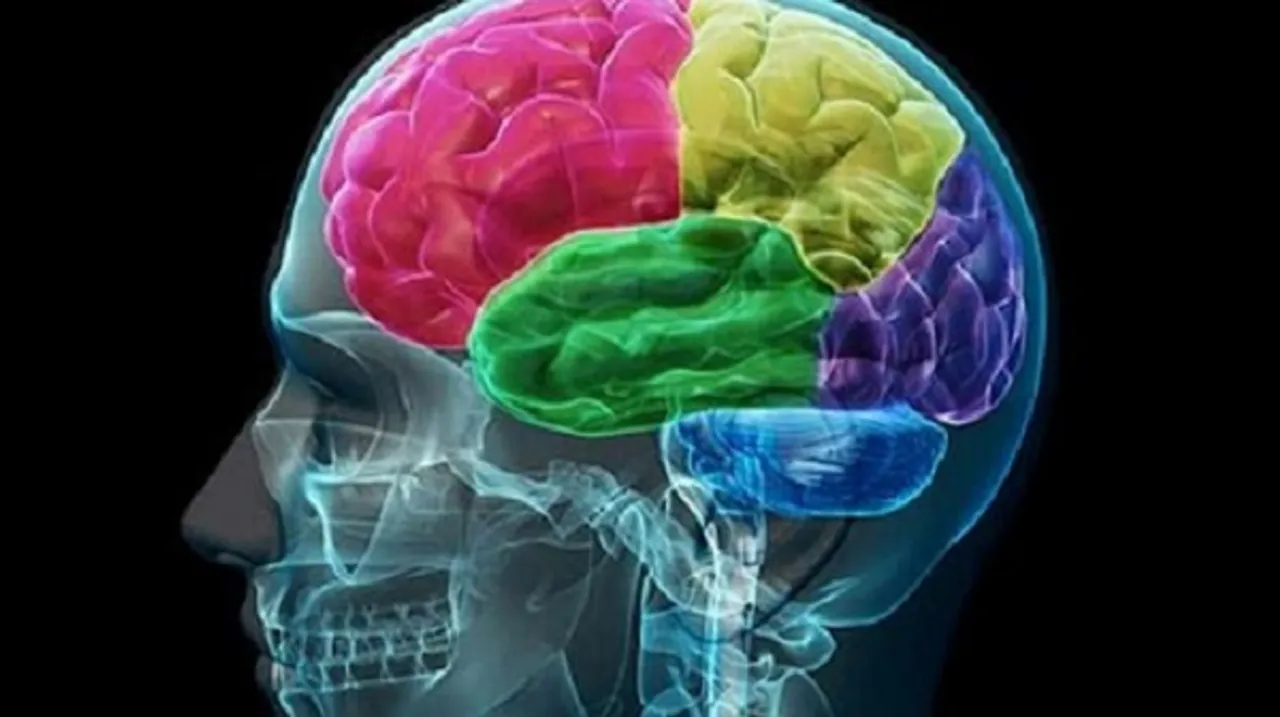 ସାବଧାନ: ମସ୍ତିଷ୍କକୁ ବିଗାଡ଼ିଦେବ ସୋସିଆଲ୍ ମିଡିଆ