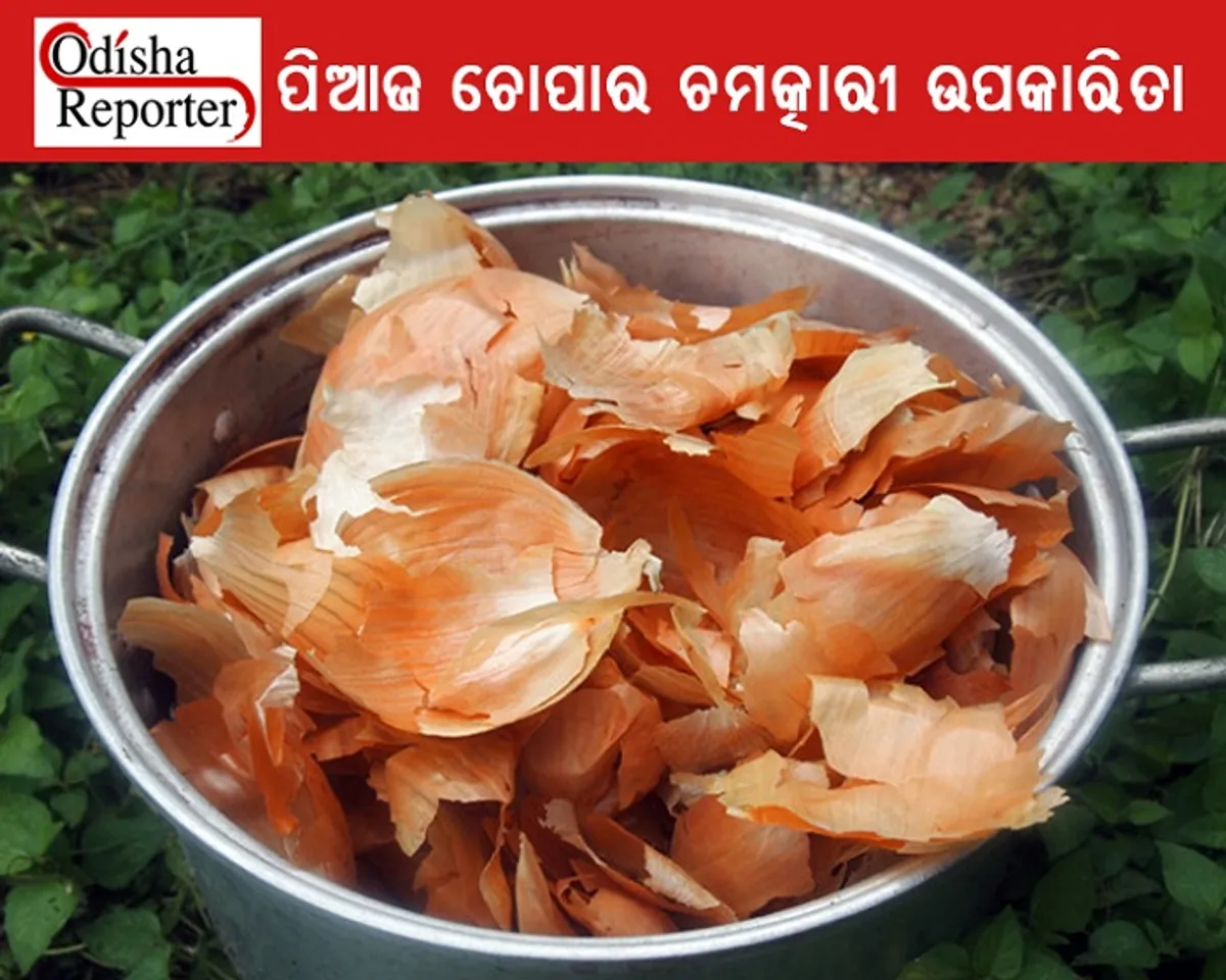 ପିଆଜ ଚୋପାରେ ରହିଛି କ୍ୟାନସରରୁ ବଞ୍ଚାଇବାର ଶକ୍ତି,କେବଳ ସେତିକି ନୁହେଁ ରହିଛି ଅନେକ ଚମତ୍କାରୀ ଉପକାରିତା