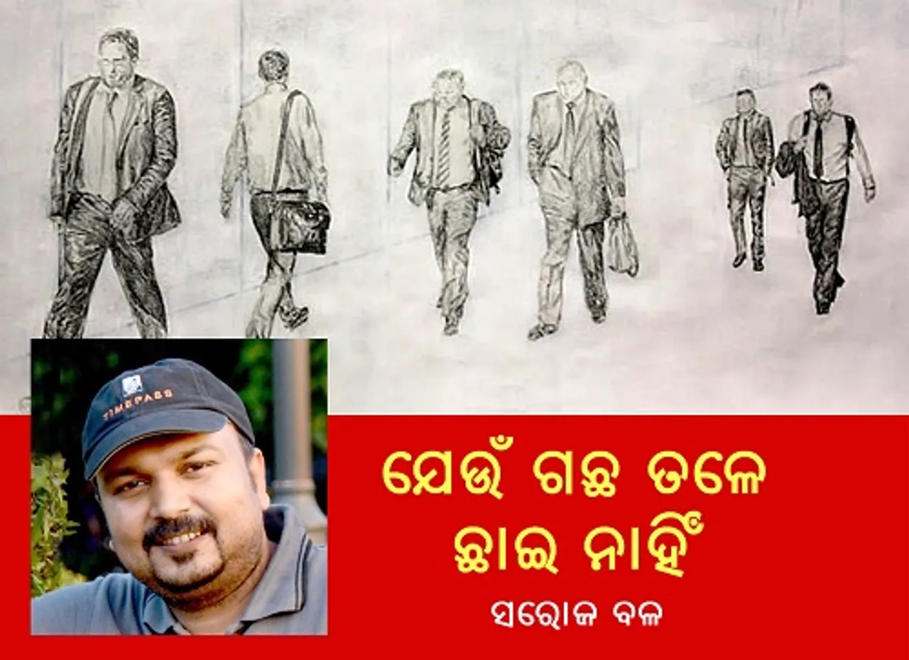 ଯେଉଁ ଗଛ ତଳେ ଛାଇ ନାହିଁ