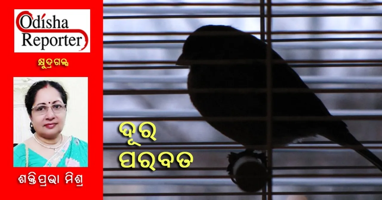 ଦୂର ପରବତ 