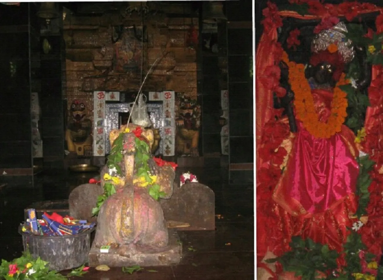 ଅପାର କରୁଣାମୟୀ ମା' ନାରାୟଣୀ