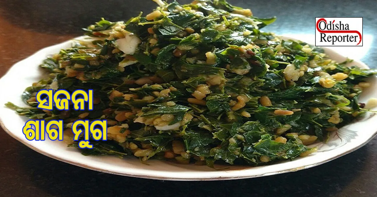 ଘରେ ସଜନା ଶାଗ ମୁଗ ପ୍ରସ୍ତୁତ କରି ଦହି ପଖାଳର ମଜା ଉଠାନ୍ତୁ