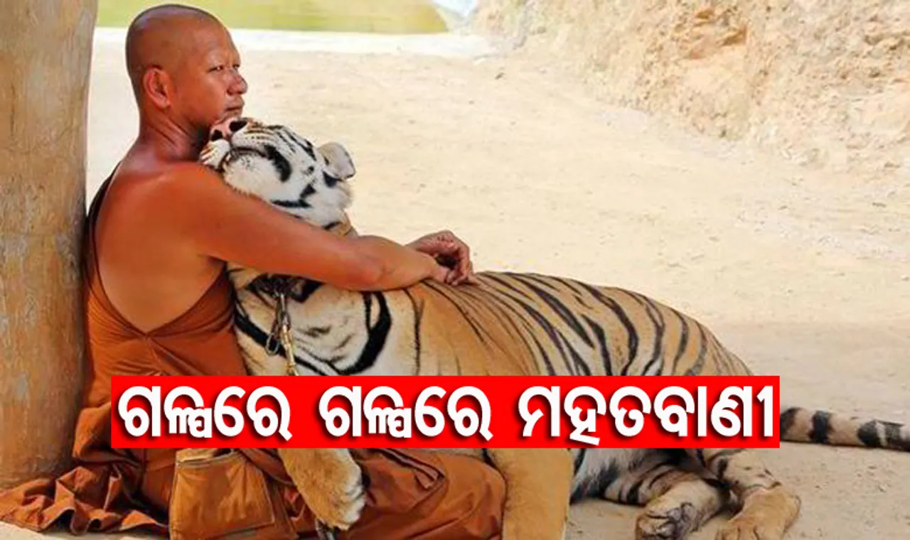 ହିଂସ୍ର ହେଲେ ବି ବାଘର ଅଛି ହୃଦୟ