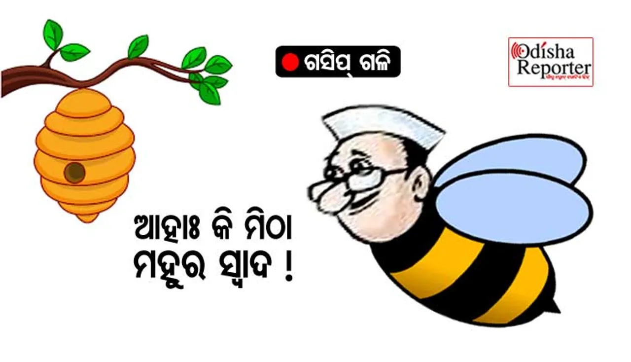 ମହୁବାକ୍ସ ଦୁର୍ନୀତିକୁ ଚାପିଲା କିଏ ?