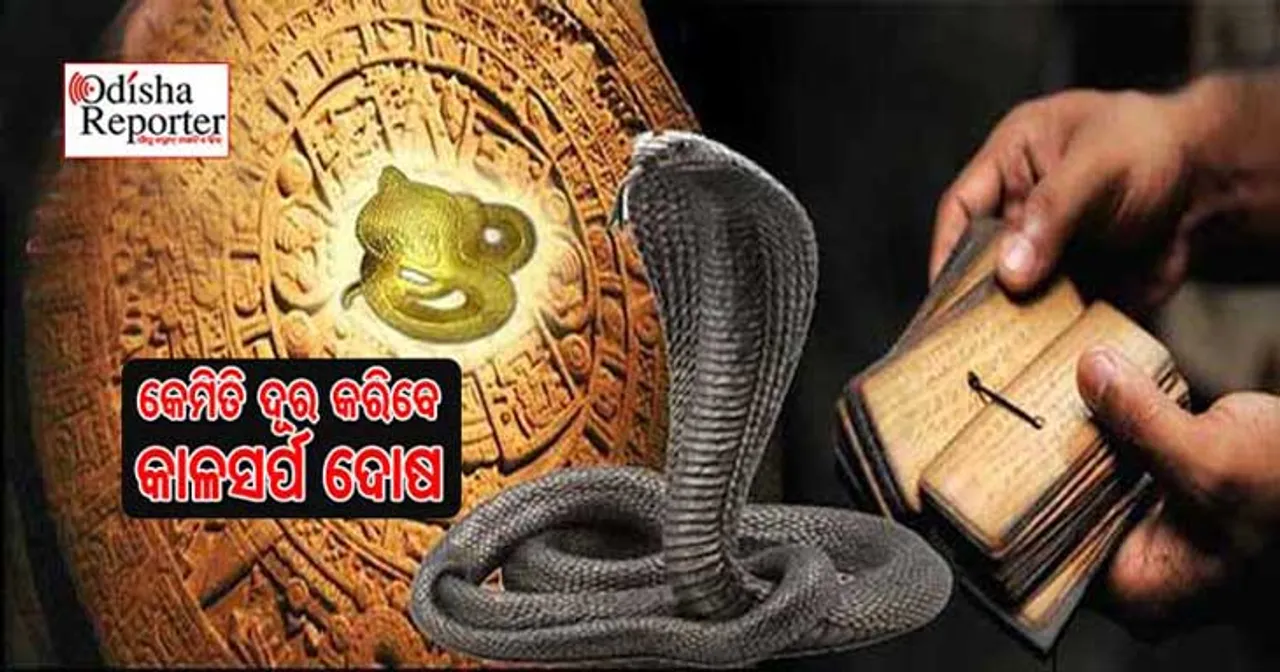 ‘କାଳସର୍ପ ଦୋଷ’ ଯୋଗୁ କୌଣସି କାମରେ ସଫଳତା ପାଉନାହାଁନ୍ତି କି? କାଲି ନାଗପଞ୍ଚମୀରେ କରନ୍ତୁ ଏହି ୪ଟି କାମ