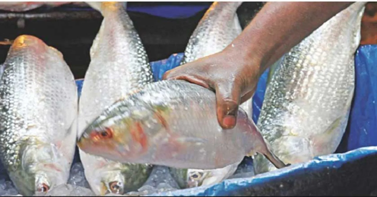 ବିମାନରେ ଇଲିଶି ଚାଲାଣ ଉଦ୍ୟମ କରି ଫସିଗଲେ ପାଇଲଟ୍‌