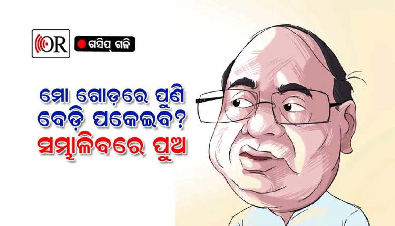 ଦାମଙ୍କ ପାଇଁ ବେଡ଼ି ତିଆରି ଯୋଜନା !