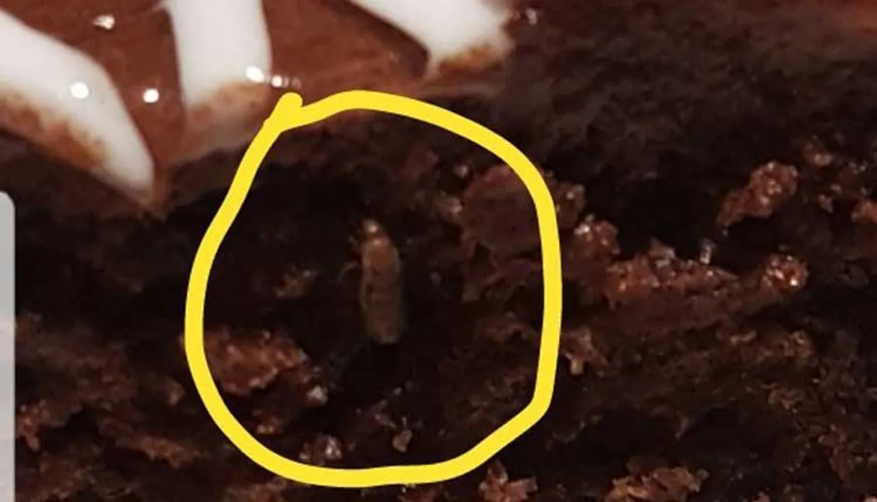 ରେଷ୍ଟୁରାଣ୍ଟର କେକ୍‌ରୁ ବାହାରିଲା ପୋକ, ଦେଖନ୍ତୁ ଭିଡିଓ