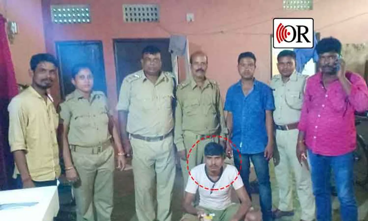 ବଢ଼ିଆ ଚାକିରି ! ବ୍ରାଉନ୍‌ସୁଗାର ବିକିଲେ ମାସକୁ ମିଳୁଛି ୫ ହଜାର !