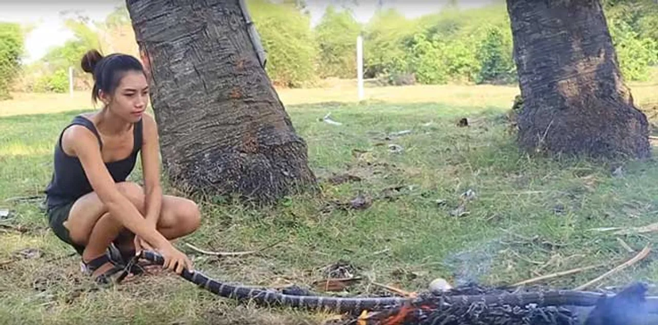 ସାପ, ଗୋଧିକୁ ପିସ୍‌ ପିସ୍‌ କରି ଖାଉଛନ୍ତି ଏହି ଯୁବତୀ: ସୋଶାଲ ମିଡିଆରେ ଚହଳ, ଦେଖନ୍ତୁ ଭିଡିଓ