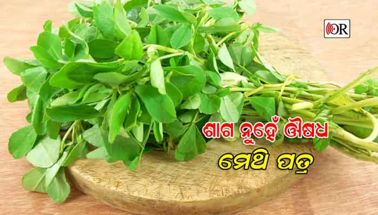 ସ୍ୱାସ୍ଥ୍ୟ ପାଇଁ ଉପକାରୀ ମେଥି ପତ୍ର
