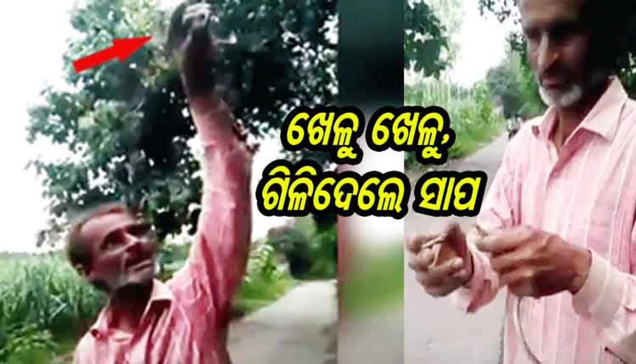 ମଦ ନିଶାରେ ଜିଅନ୍ତା ସାପକୁ ଗିଳିଦେଲେ, ଆଉ ତା ପରେ...