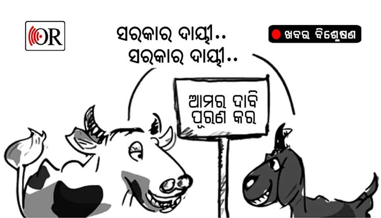 ‘ସରକାର ଦାୟୀ’ ମାନସିକତା ବିରୋଧରେ ଦୁଇପଦ