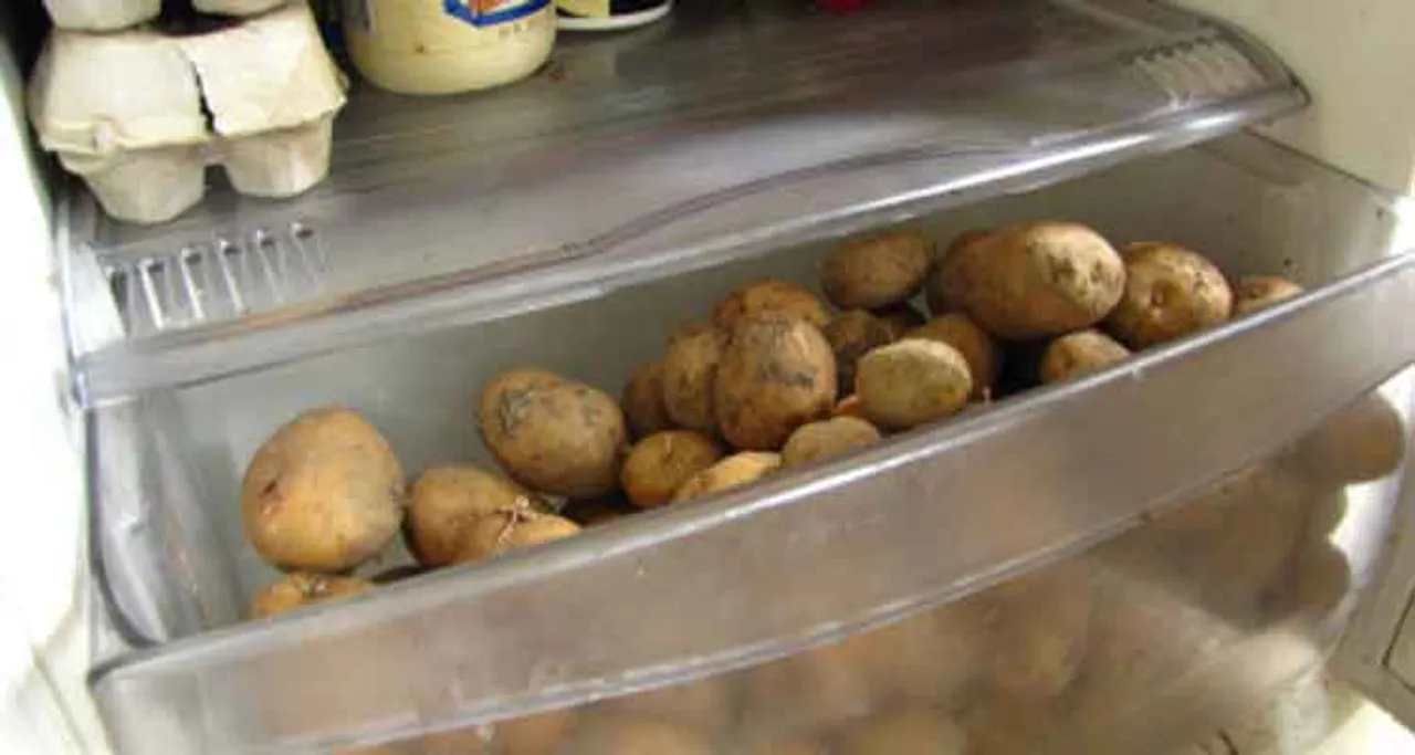 ଆପଣ ଫ୍ରିଜ୍‌ରେ ଆଳୁ ରଖୁଛନ୍ତି କି !