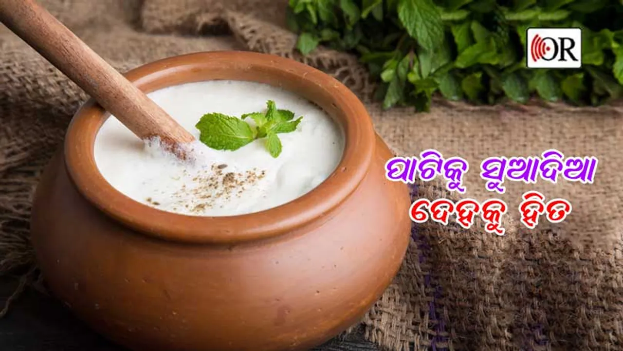 ଦହି ପାଣି ପିଇଲେ ମିଳେ ଏହି ସବୁ ଲାଭ