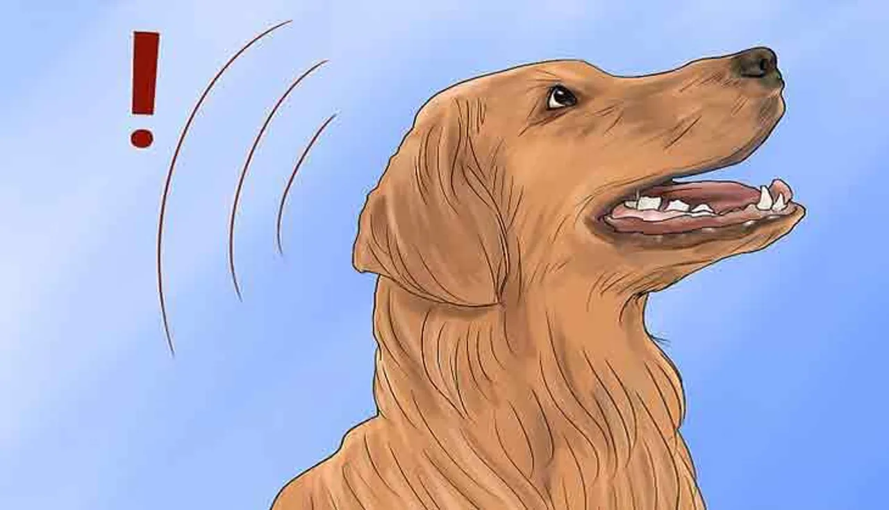 ରାତି ସମୟରେ କୁକୁର କାନ୍ଦେ କାହିଁକି ?