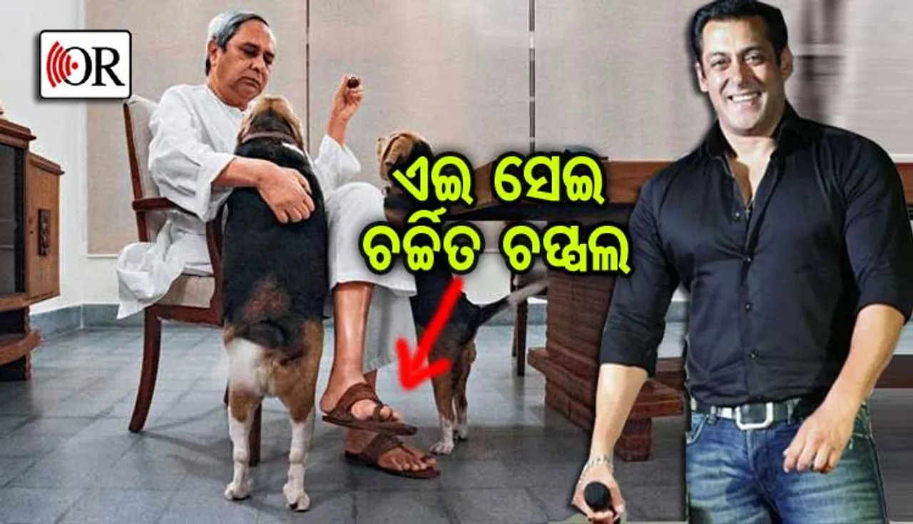 ବିଙ୍ଗ୍‌ ହ୍ୟୁମାନ୍‌ଙ୍କୁ ମିଳିଗଲେ ଭଲ ହ୍ୟୁମାନ୍‌ ବିଙ୍ଗ୍‌ !