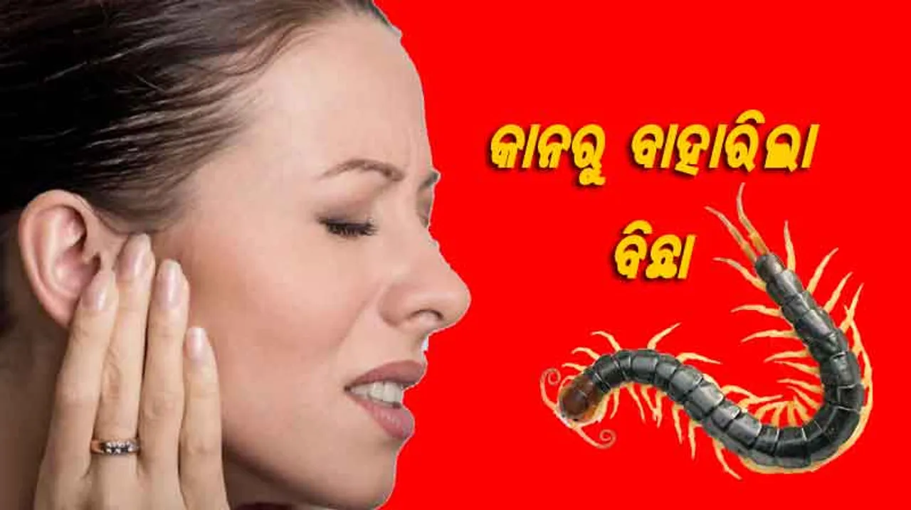 ଭାଗ୍ୟ ଭଲ, ନ ହେଲେ କାଲୁଣି ହୋଇଯାଇଥାନ୍ତେ !