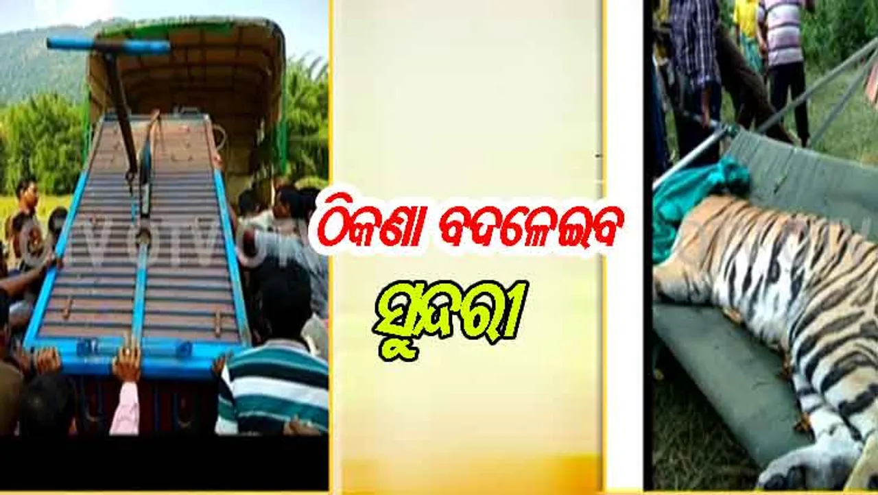 କୋଉଠି ରହିବ ସୁନ୍ଦରୀ ?