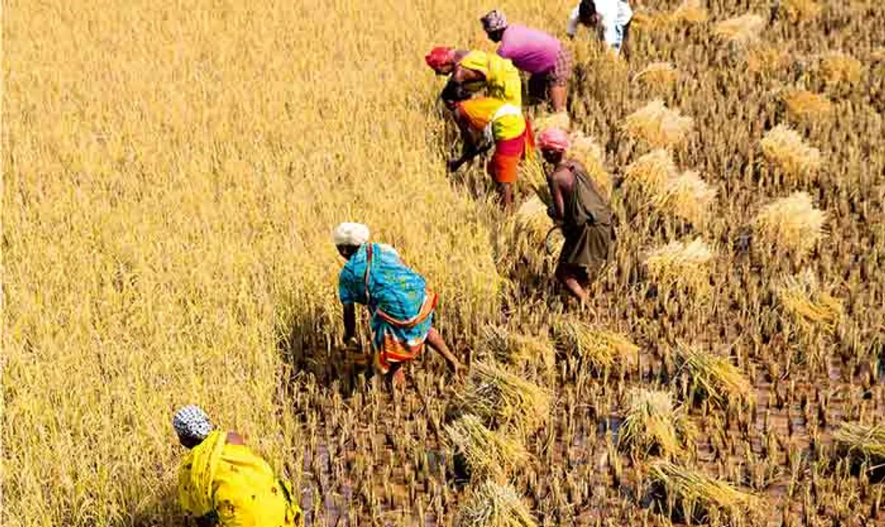 ଚାଷୀଙ୍କ ସହ ଚରମ ବିଶ୍ୱାସଘାତକତା କରିଛନ୍ତି କେନ୍ଦ୍ର ଓ ରାଜ୍ୟ ସରକାର: ସିପିଏମ୍