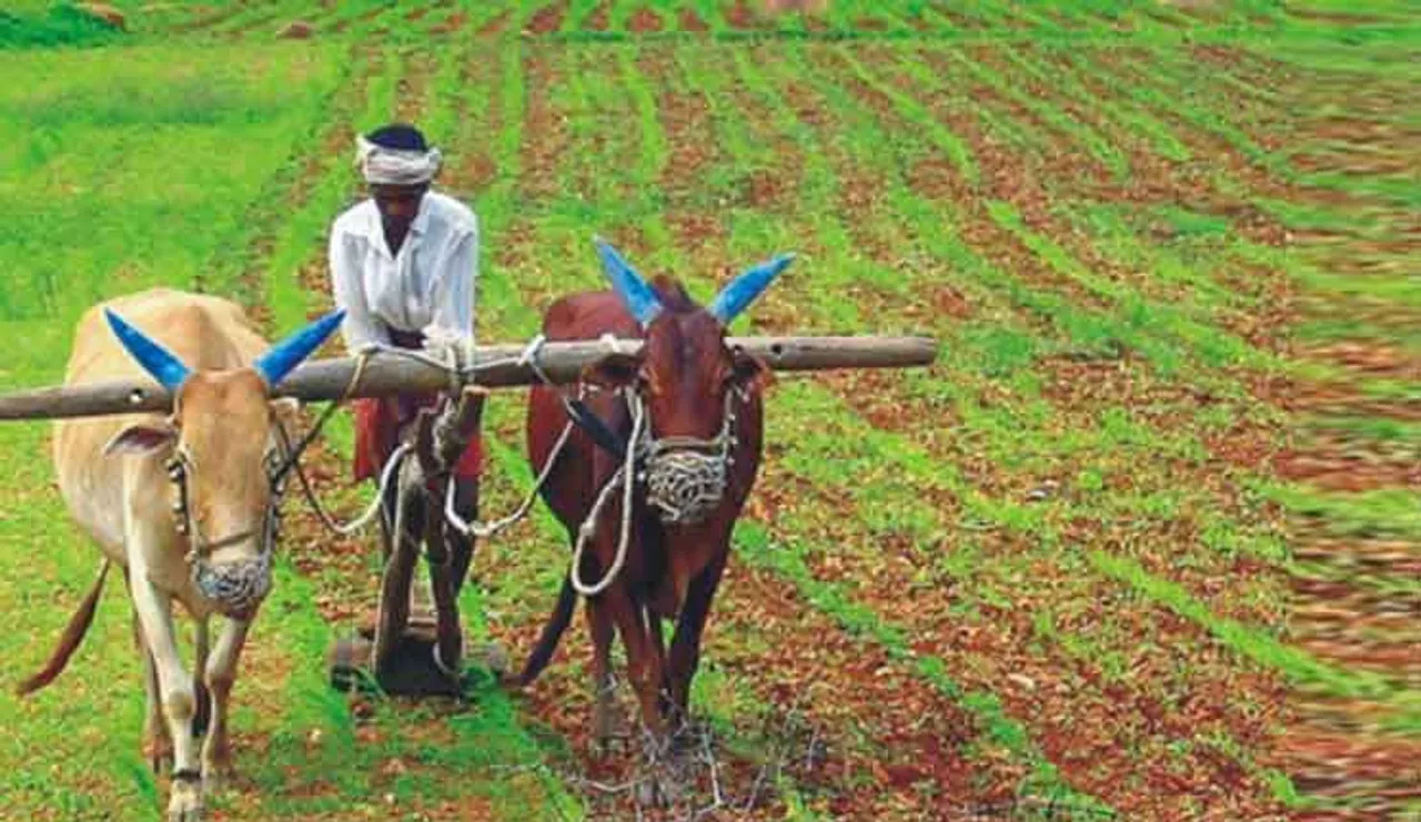 “କାଳିଆ” ଯୋଜନା ଚାଷୀମାନଙ୍କ ପାଇଁ ମରୁଭୂମିରେ ମରୀଚିକା ସଦୃଶ 