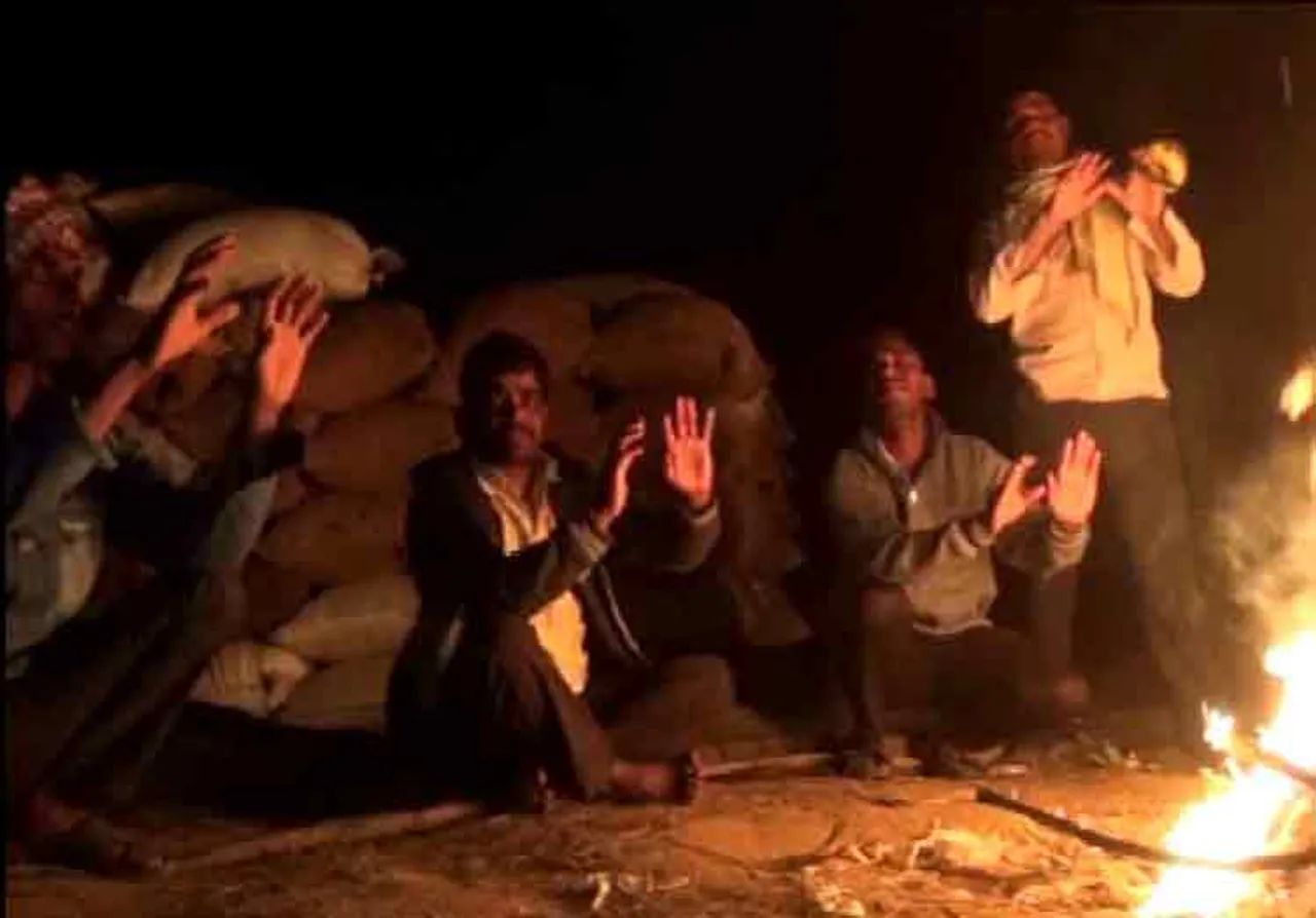 ‘କାଳିଆ’ ମାୟାରେ ବାୟା, ମଣ୍ଡିରେ ସଢ଼ୁଛି ଚାଷୀ