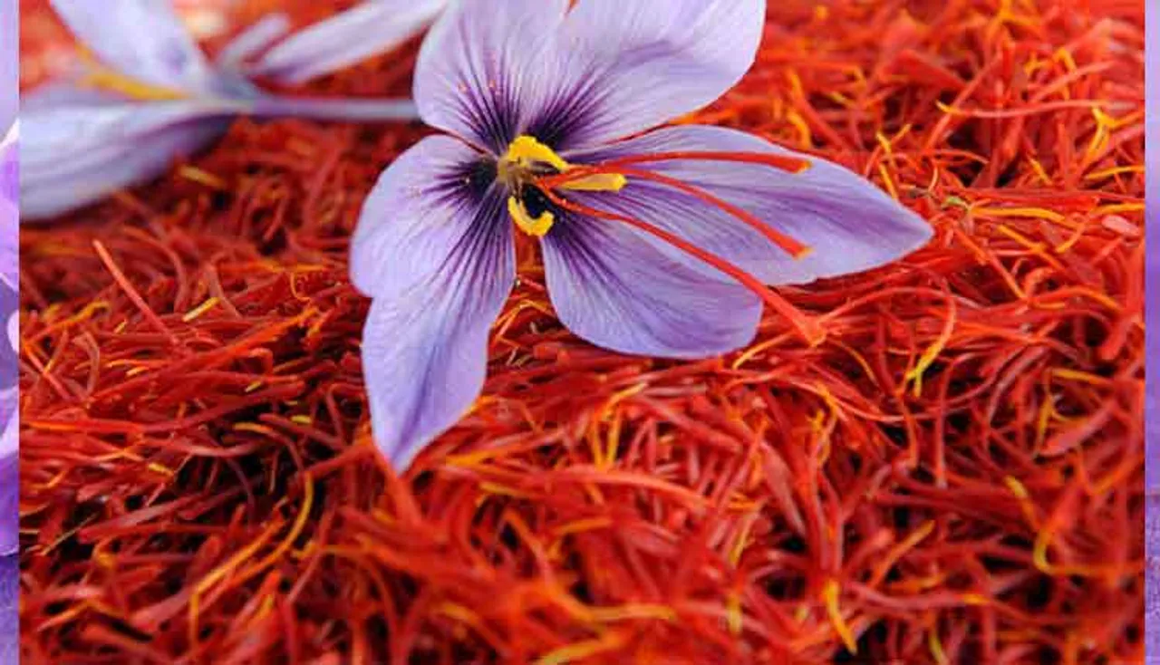 ଶୀତ ଦିନେ ଖୁବ୍‌ ଉପକାରୀ କେଶର, ନିଜ ଖାଦ୍ୟରେ ଏହାକୁ ସାମିଲ କରନ୍ତୁ