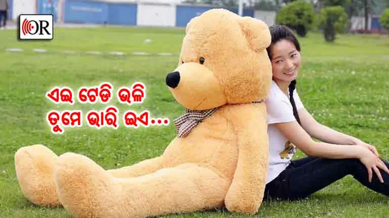 ଟେଡି ହୋଇ ତାଙ୍କ ଘର ସେଲ୍ଫରେ ସଜେଇ ହେବାର ବେଳ ଆସିଗଲା