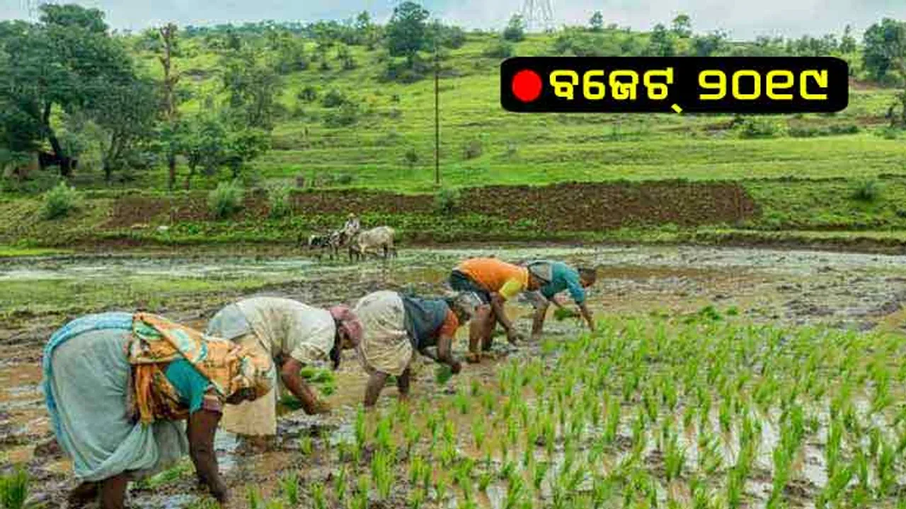 ବର୍ଷକୁ କୃଷକ ପାଇବେ ୬ ହଜାର