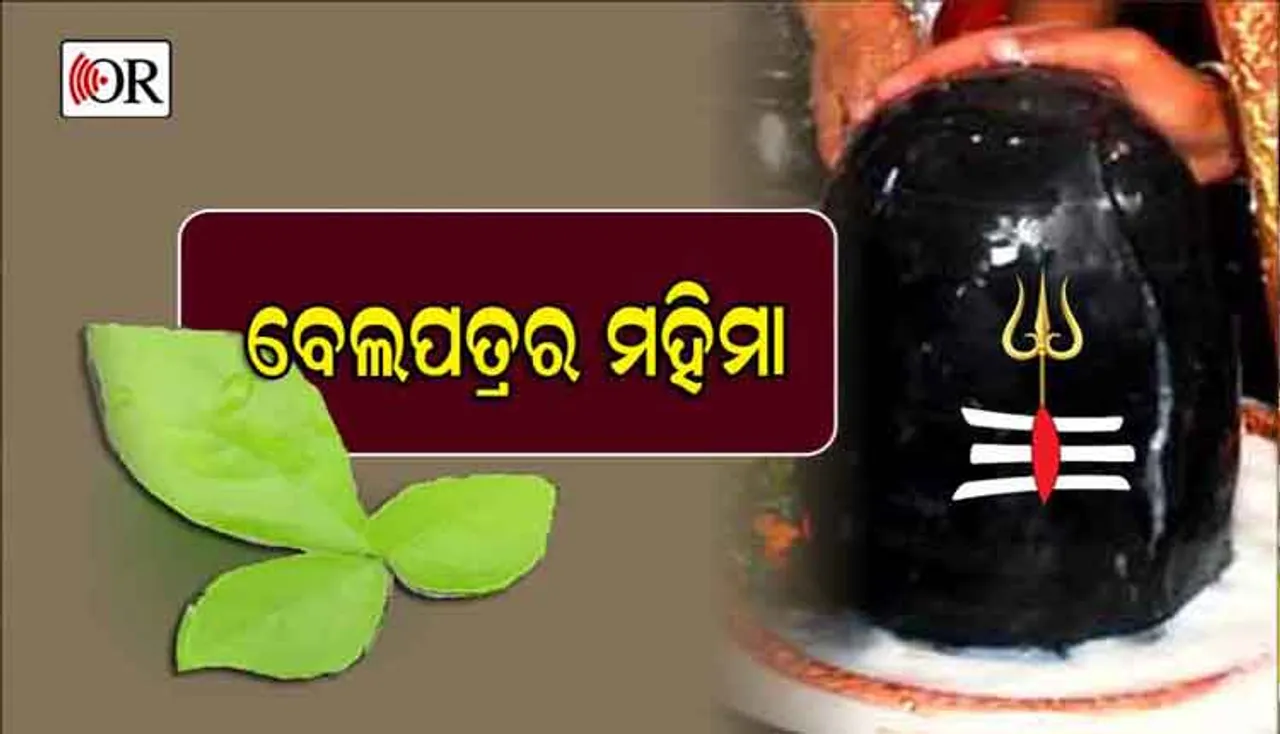 ଶିବଲିଙ୍ଗରେ ବେଲପତ୍ର ଚଢାଯାଏ କାହିଁକି ?