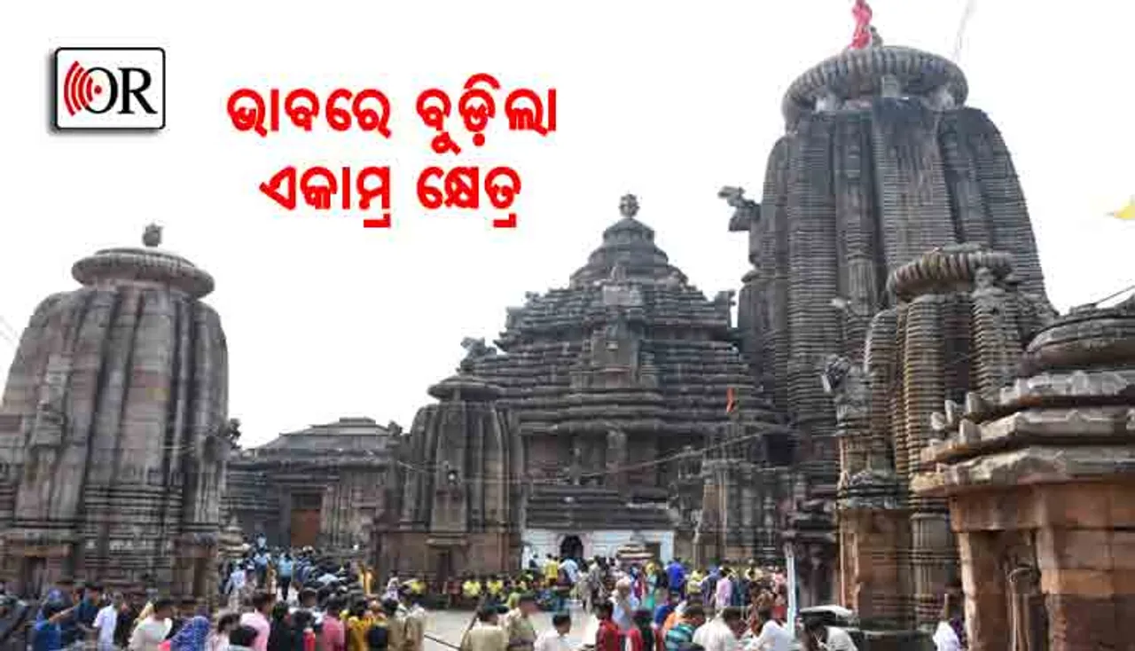 ଫଟୋରେ ଫଟୋରେ ଜାଗର