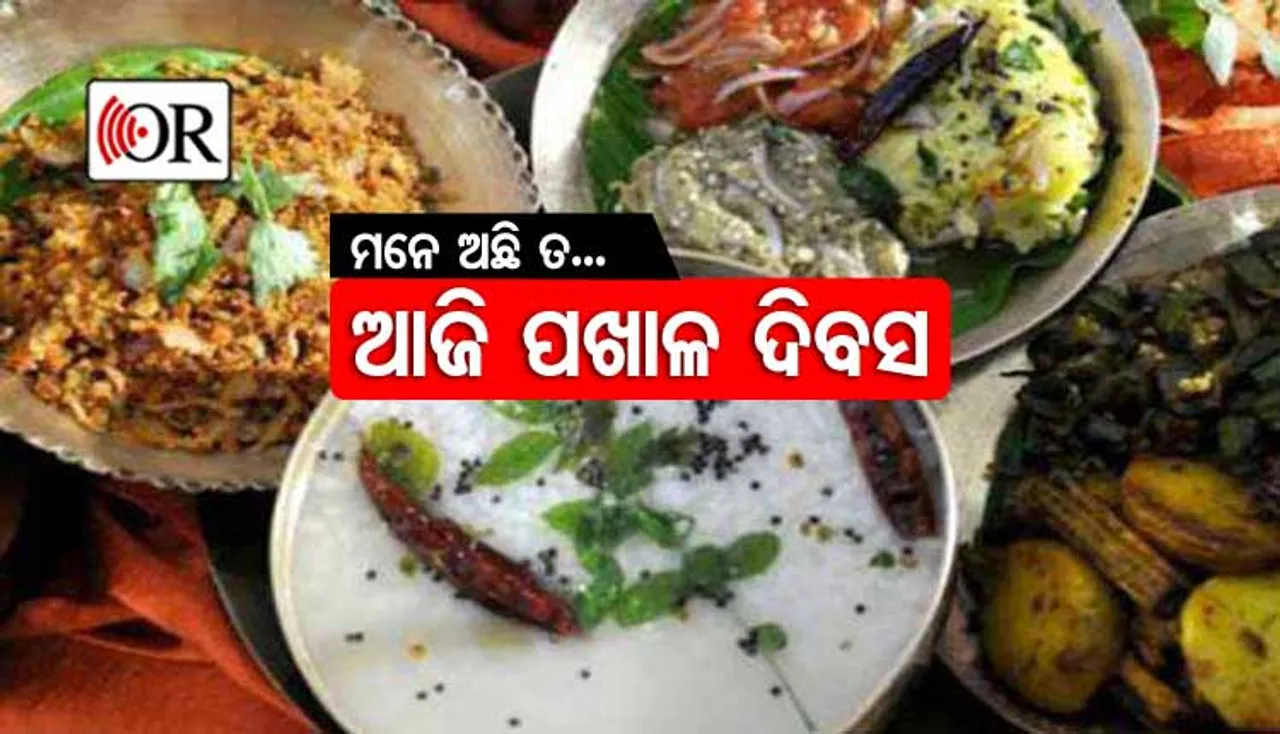 ଆସ ପଖାଳ କଂସା, ମୋର ଜୀବନ ଧନ